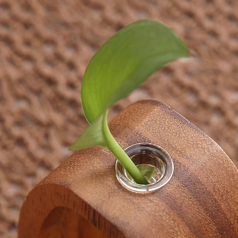 🌿 Elevate Your Home – 49% OFF – ✨Solid Wood Glass Vase