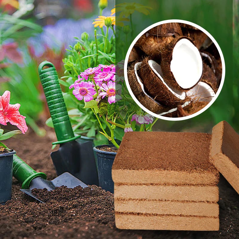 🌱 Boost Your Gardening Success - 49% OFF - ✨ Organic Coconut Coir for Plants