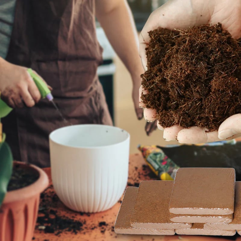 🌱 Boost Your Gardening Success - 49% OFF - ✨ Organic Coconut Coir for Plants