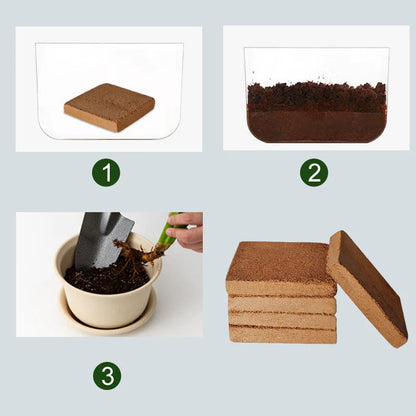 🌱 Boost Your Gardening Success - 49% OFF - ✨ Organic Coconut Coir for Plants