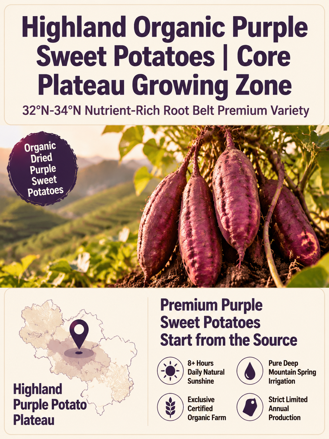 🍠Healthy Low Fat Purple Sweet Potato Snack