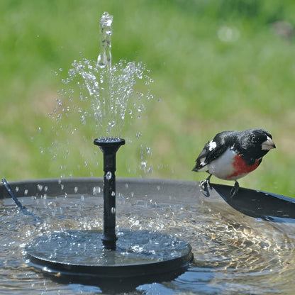 🔥 Garden Clearance Deals 49% OFF -⛲Solar-Powered Bird Fountain