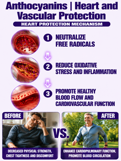 🍠Healthy Low Fat Purple Sweet Potato Snack