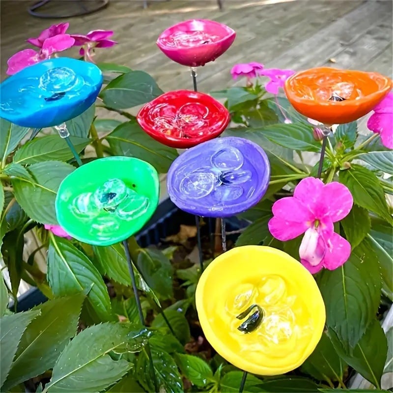 🐦 Mini Bird Bath & Pollinator Water Station - 49% OFF- ✨ Attract Birds & Beneficial Insects