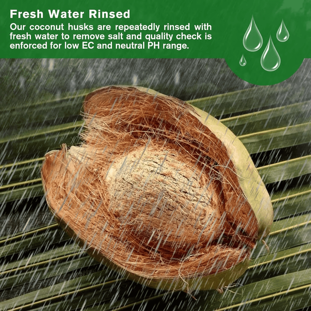 🌱 Boost Your Gardening Success - 49% OFF - ✨ Organic Coconut Coir for Plants