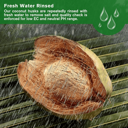🌱 Boost Your Gardening Success - 49% OFF - ✨ Organic Coconut Coir for Plants