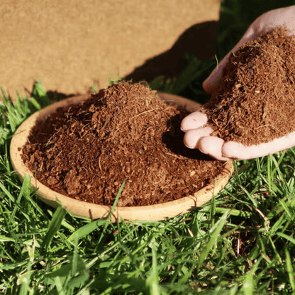 🌱 Boost Your Gardening Success - 49% OFF - ✨ Organic Coconut Coir for Plants