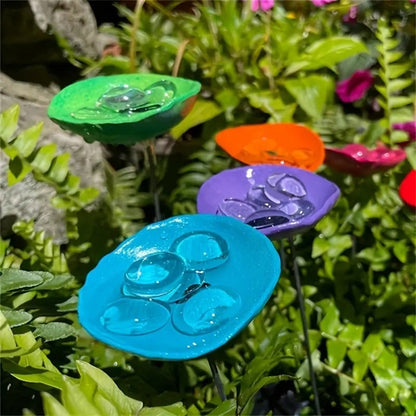 🐦 Mini Bird Bath & Pollinator Water Station - 49% OFF- ✨ Attract Birds & Beneficial Insects